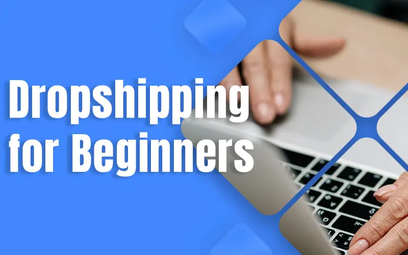 Dropshipping Business Guide for Beginners