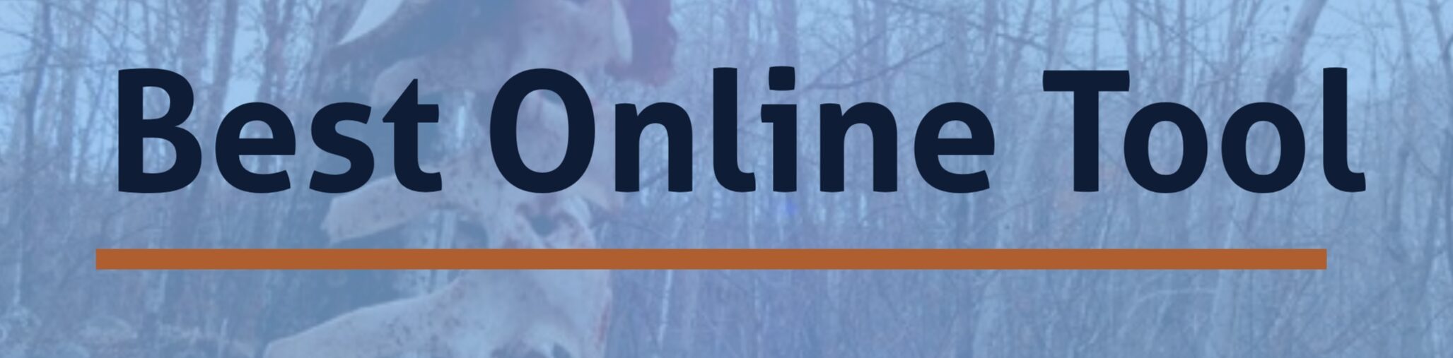 Best Online Tools